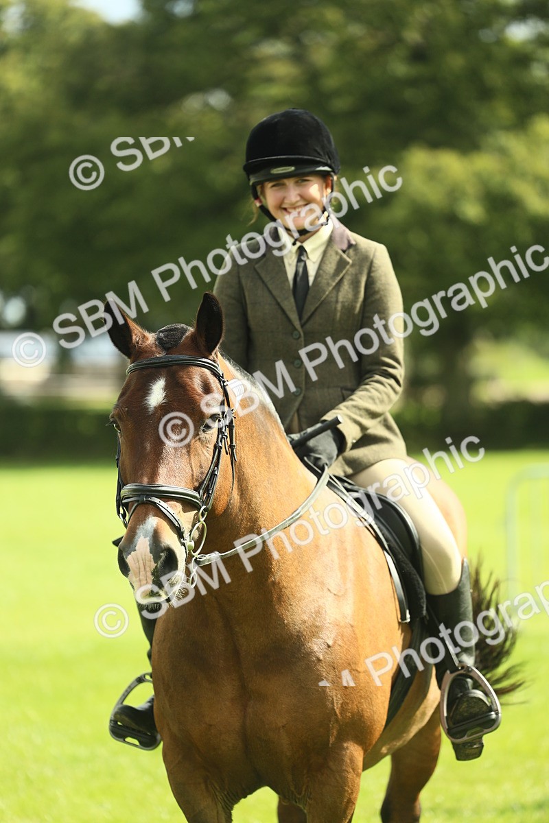 SBM_42147 - S29 - Novice & Newcomers Working Hunter Pony