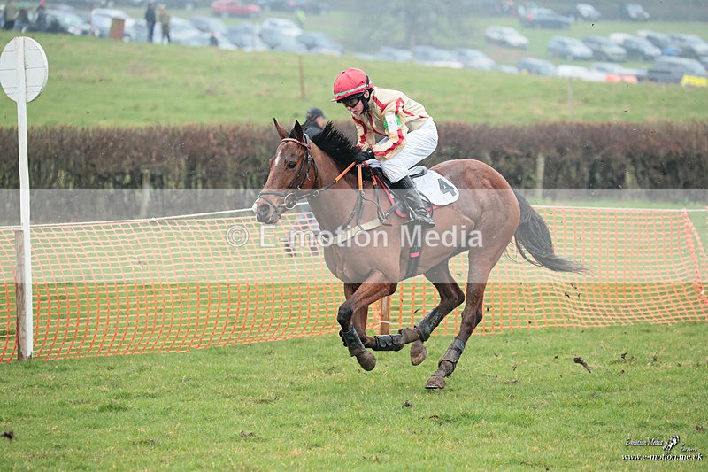 PtP 100324 356 - Pytchley with Woodland Point-to-Point Guilsborough 10/03/24