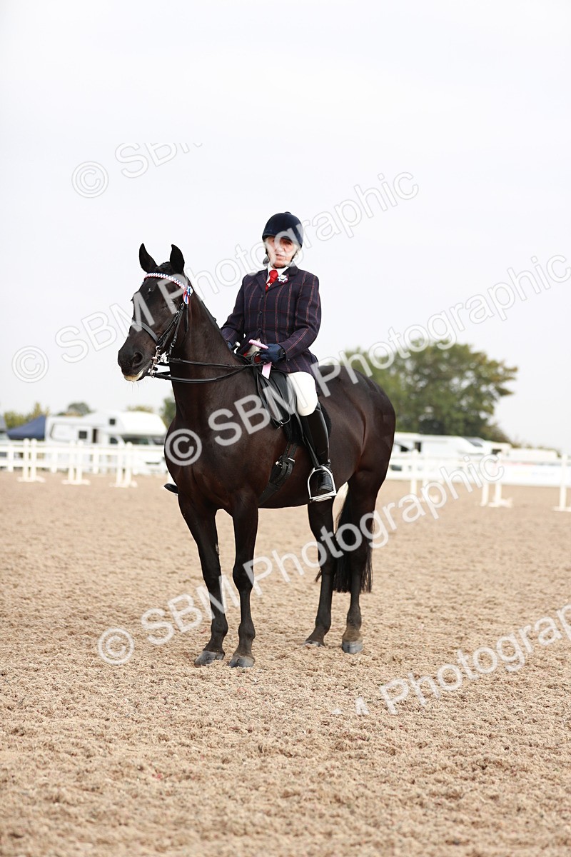 SBM_09463 - Class 202 Best Turned Out Ridden