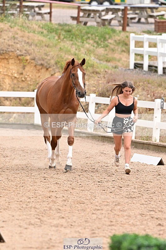250716-144503-01357 - Trot Up 2.30 to 3.30