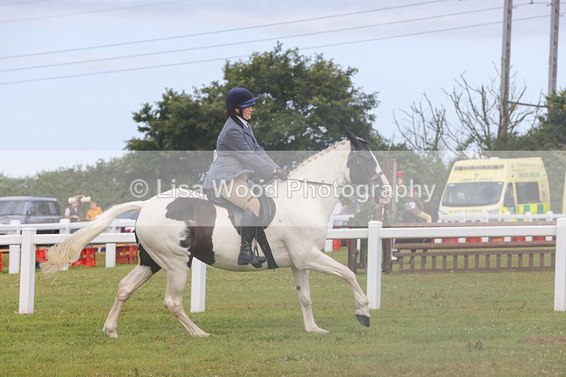 1X9A3069 - Class 26: Ridden Plaited Coloured Pony