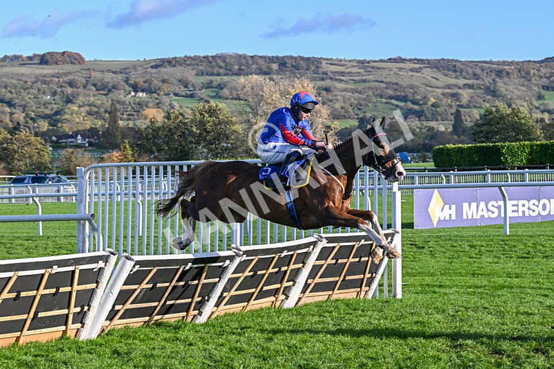 251025-Race 5-The Egyptian Ginge-9513 - Race 5