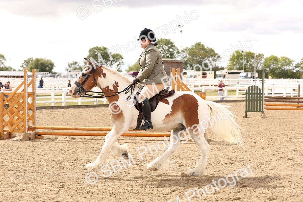 SBM_05210 - Class 56b -  Style & Performance - 50cm (20+)