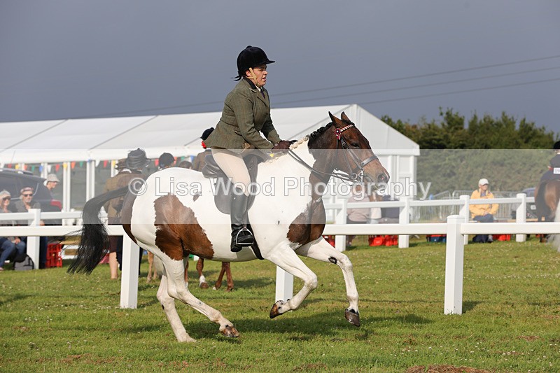 1X9A2917 - Class 25: Ridden Plaited Coloured Horse