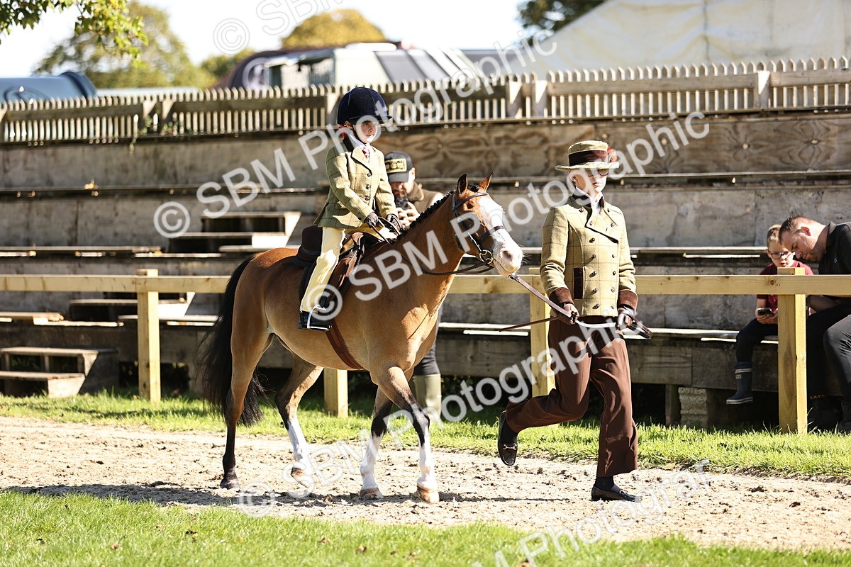 SBM_19228 - S3 - TSR Ridden Pony Showing