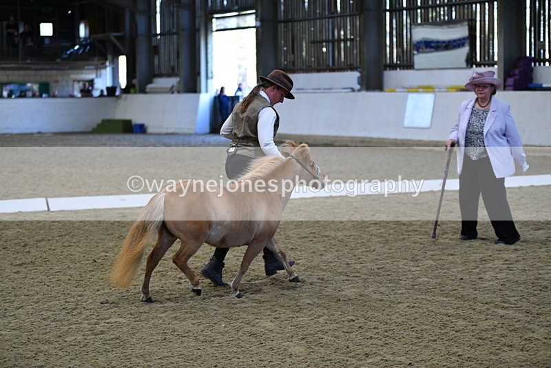 WJ5_3899 - Class 5 In Hand Veterans