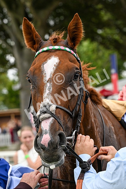 250726-Race 3-Item-0870 - Race 3 14.35pm Sky Bet York Stakes