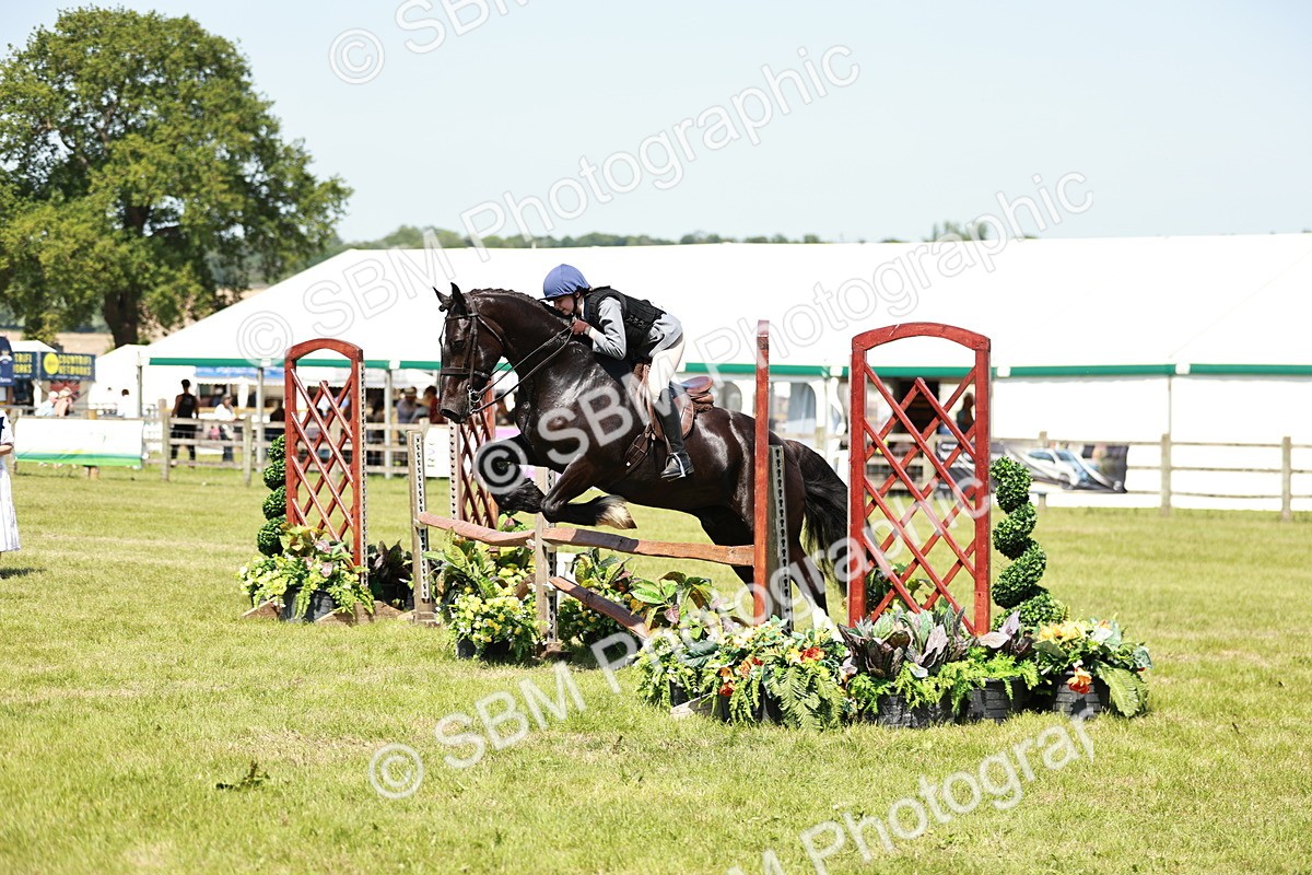 SBM_17359 - Class 110-111 - Training Stakes (70cms 80cms)