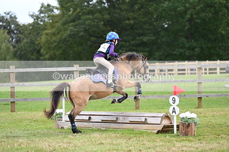 WJ7_7177 - 40cm Time 10:06 to 10:24