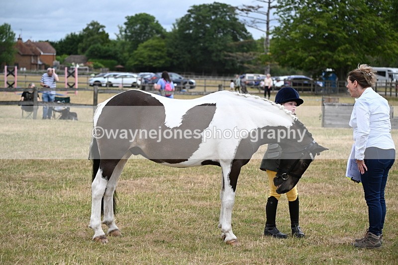 WJ6_4305 - Class 10 Coloured In-hand