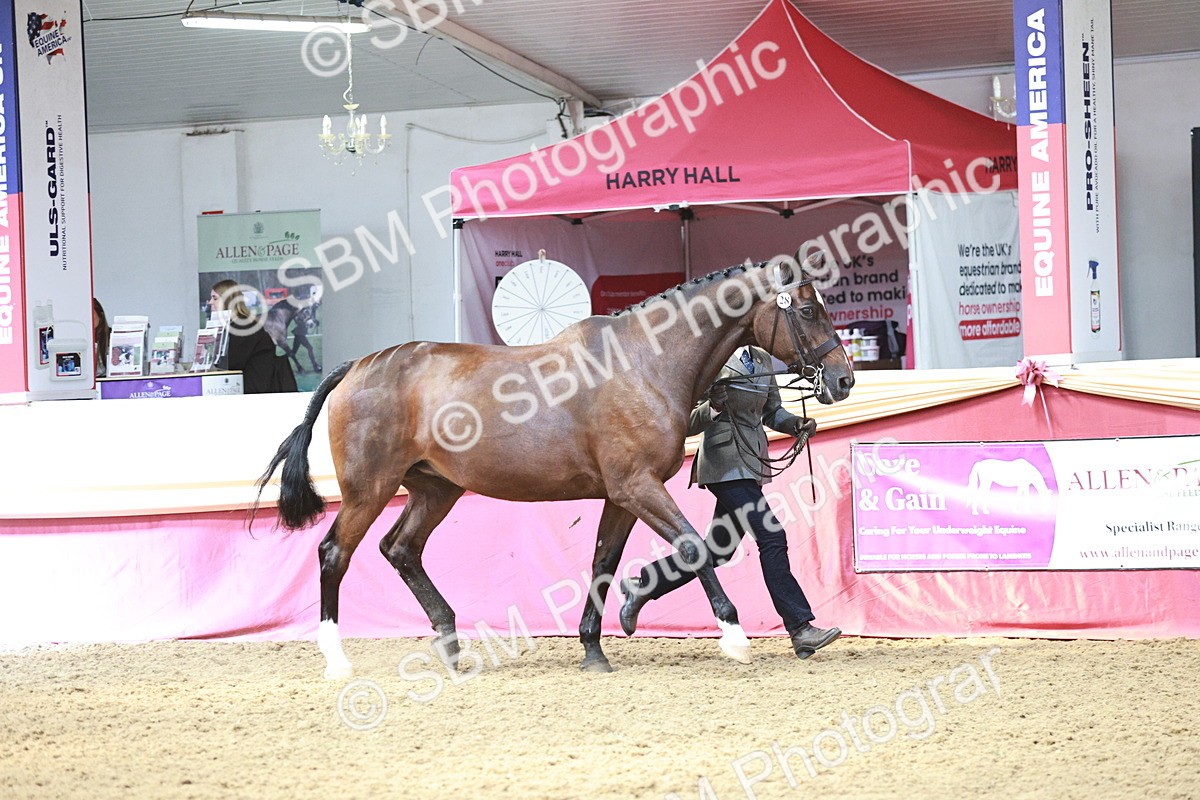 SBM_04766 - Class 7R - Regional IH Diamond