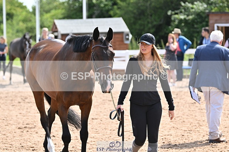 240717A-154124-02980 - Trot Up 3pm to 4pm