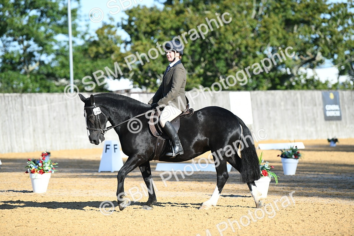 SBM_16095 - D4 - Small Tour Championship - Intro B