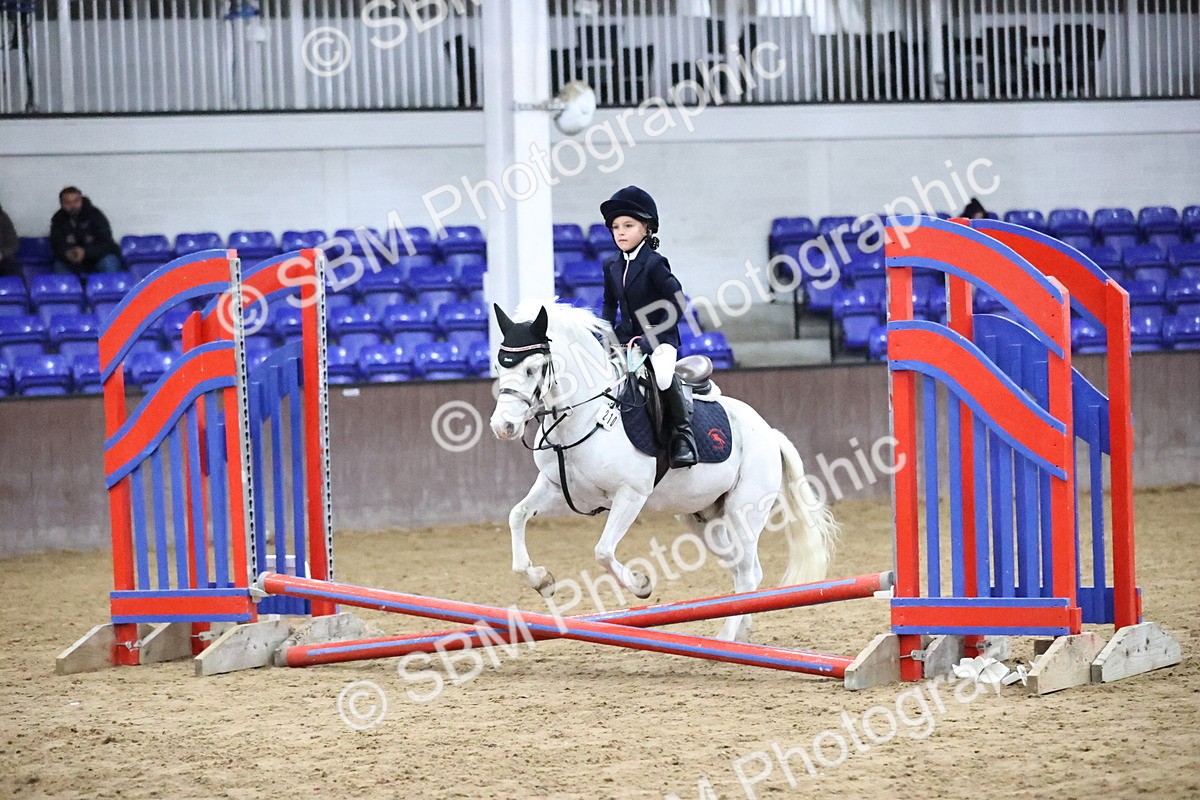 SBM_000092 - Class 1 - Fox Farriers 30cm