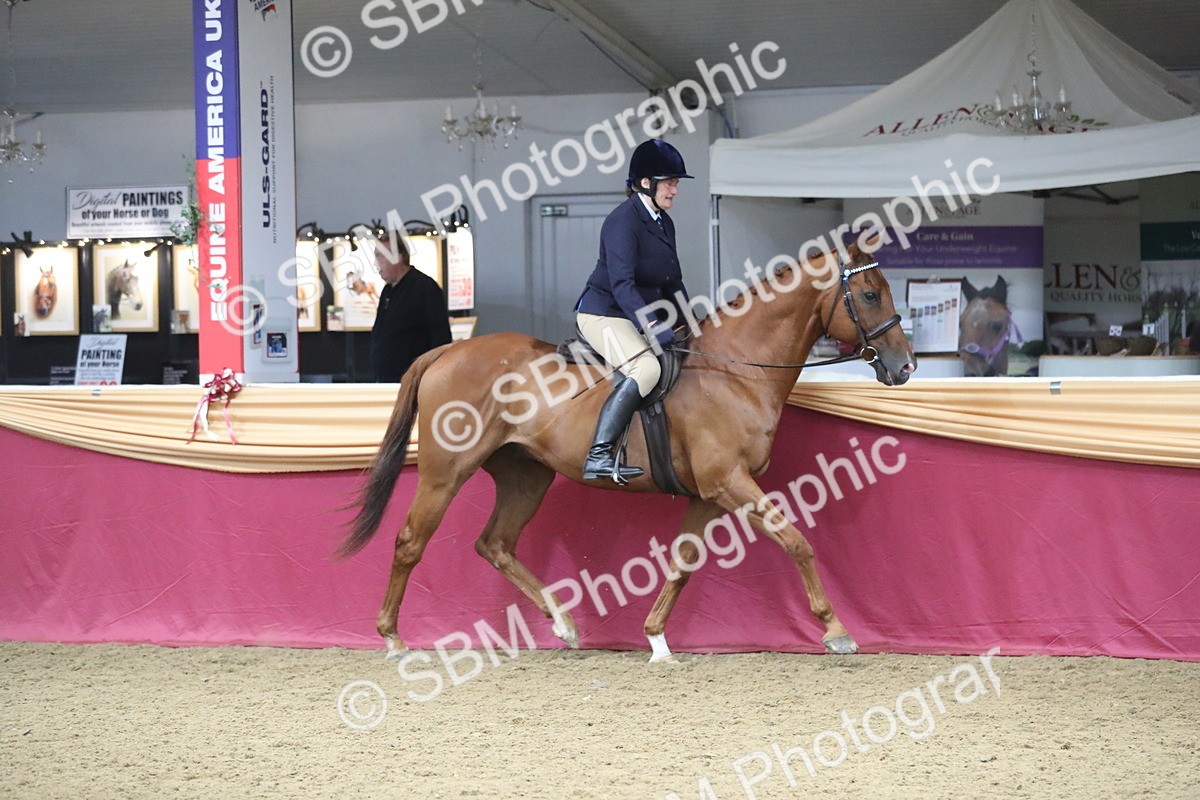 SBM_12306 - Class 108 Ridden Retired Racehorse- Pre Judging