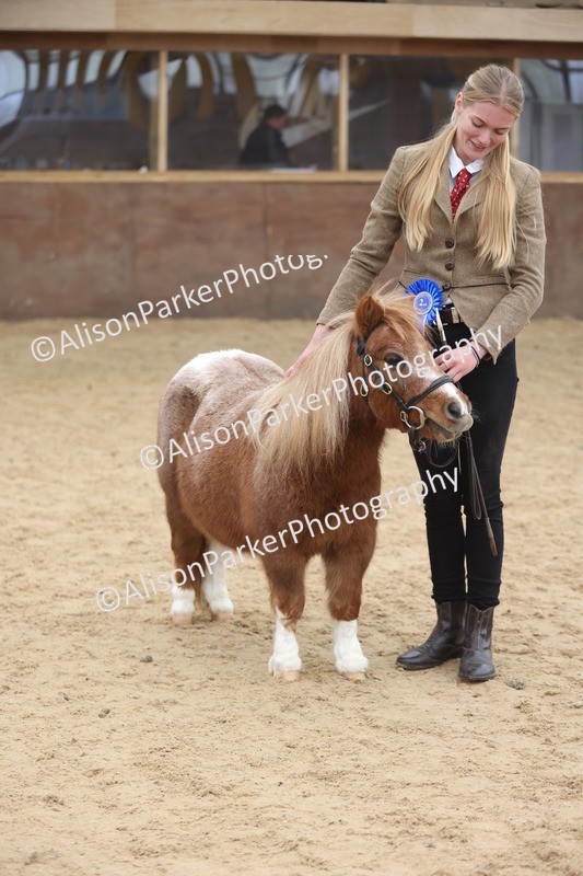 20251109-0388 - Class 14 - Geldings 4 Years and Over