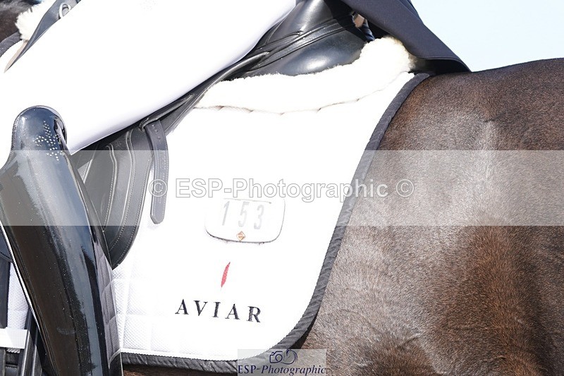 250404-155954-07609 - 153-Sara.Gallop-Rock.That.Tango