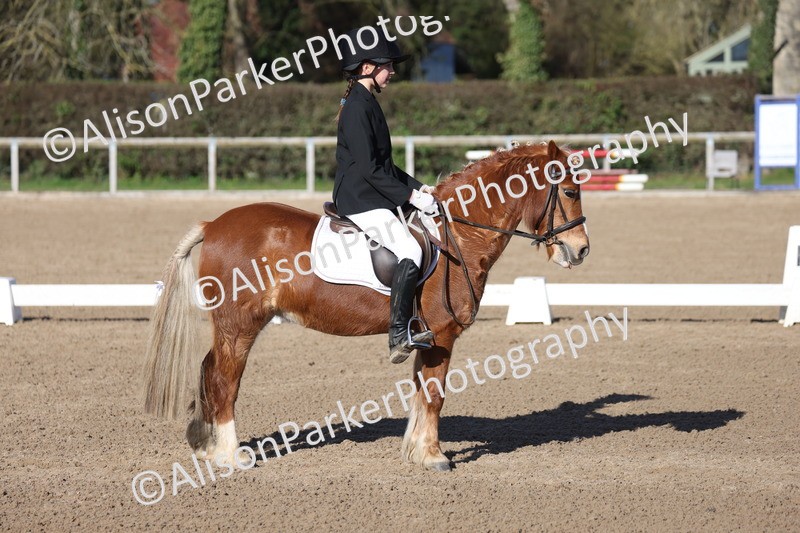 20260214-0373 - Class 4 - Novice 2