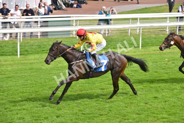 yr10072021r4-16 - Race 4: 3.30pm John Smith's Nursery Stakes