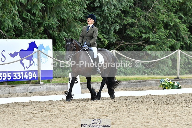 260801A-122117-03899 - Prelim Bronze Break - End