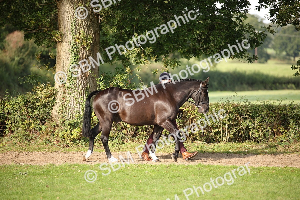 SBM_60050 - S53 - Hunter In Hand