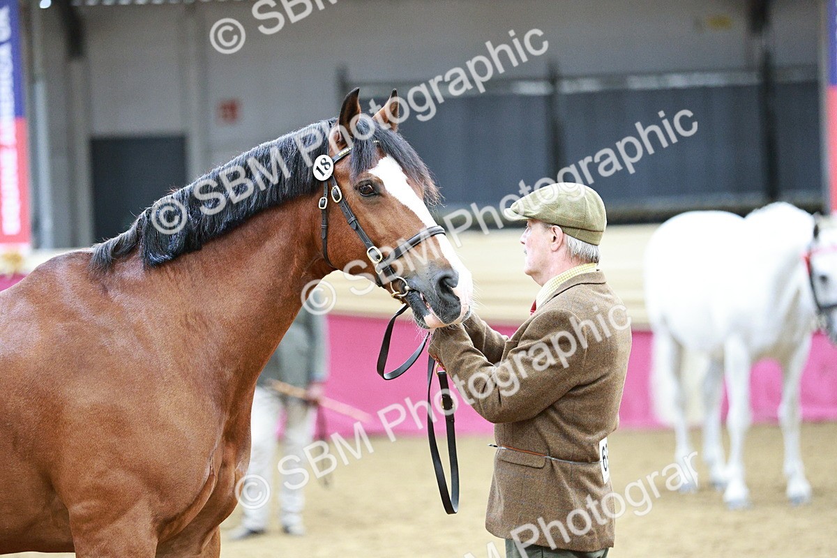 SBM_01223 - Class 3A - Area IH Pre-Vet