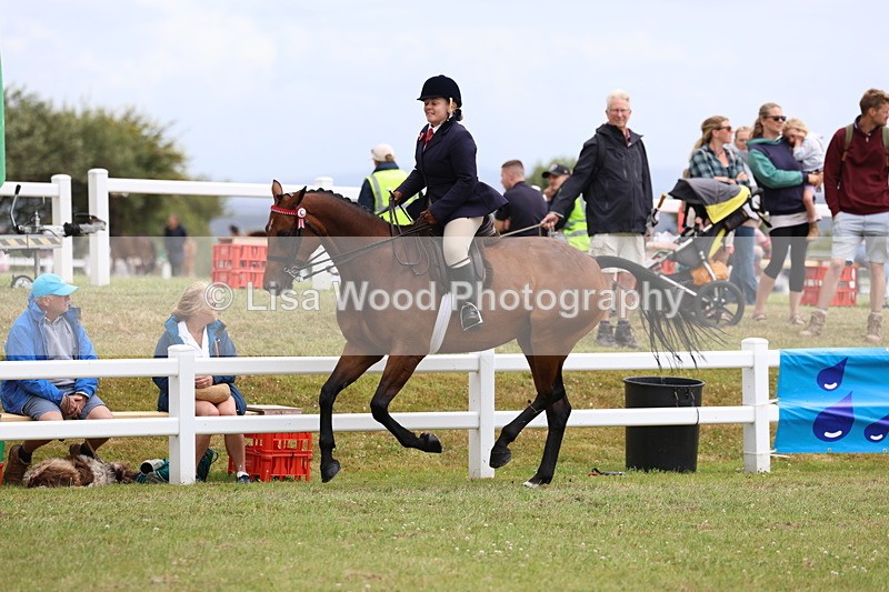 3E7A1009 - Class 8: Open Riding Horse/Hack