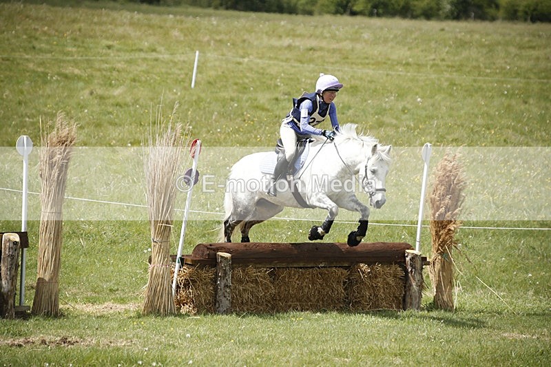 BVHT 140517  NXC -29 - Class 2 XC Novice 14/05/17