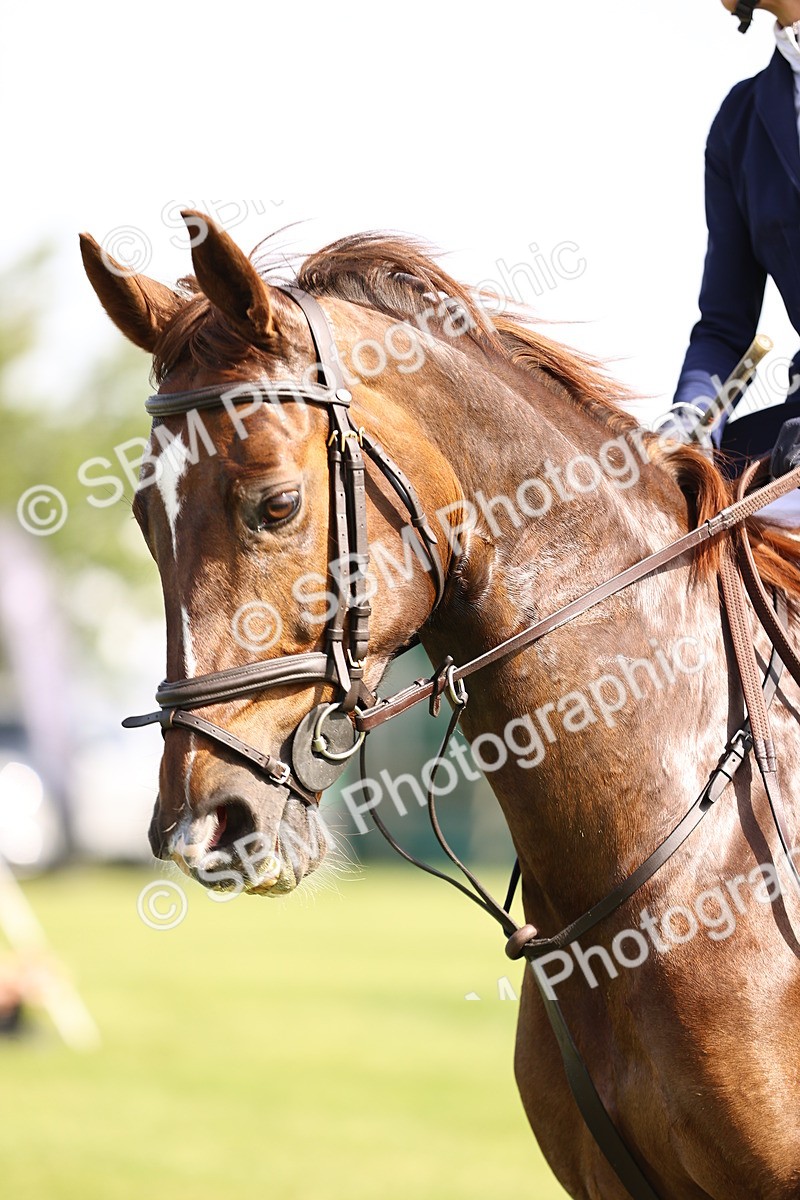 SBM_01464 - Class 200 - Martin Grant Homes Welcome Stakes 1.25m Open