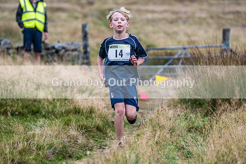 Gavel-96 - Ennerdale Show Gavel Fell Race Wednesday 26th August 2026