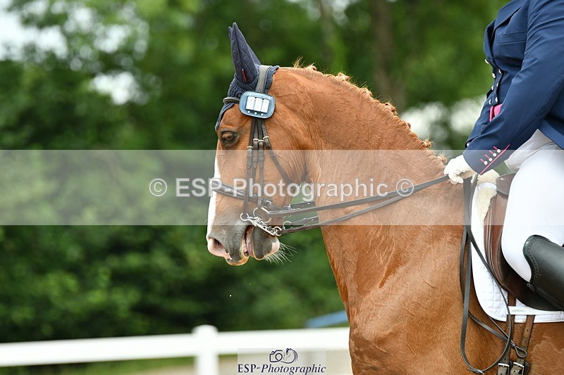 230701A-134057-06338 - Cls 12, 15 + 19 Music Medium, Adv Medium + Inter I