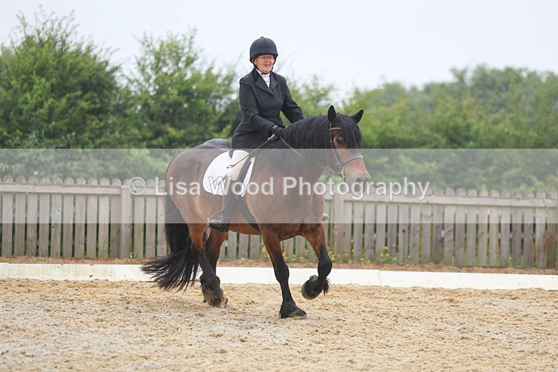 3E7A8478 - Class 2: Intro 3 2024 section B