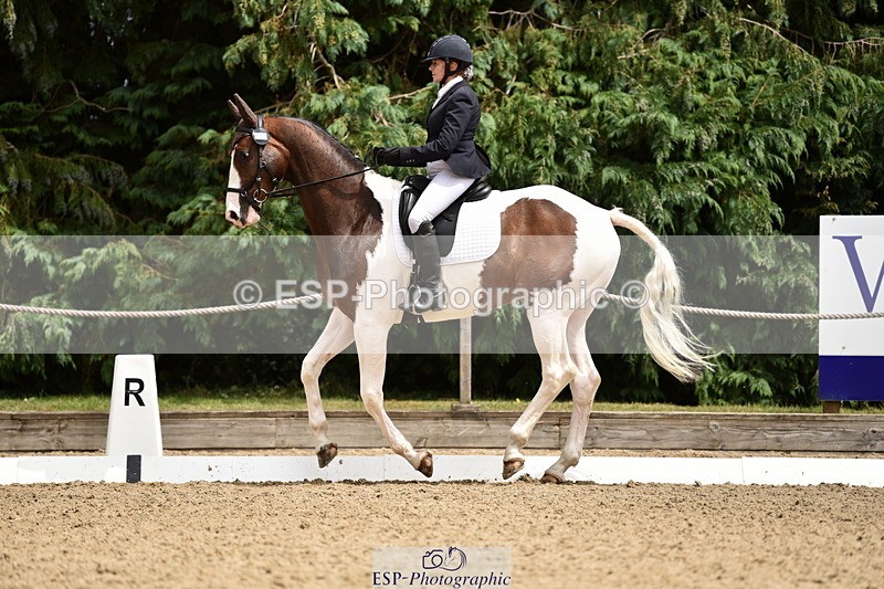 140110A-031038-11188 - 070-Deborah.Randall-Kindred.Spirit