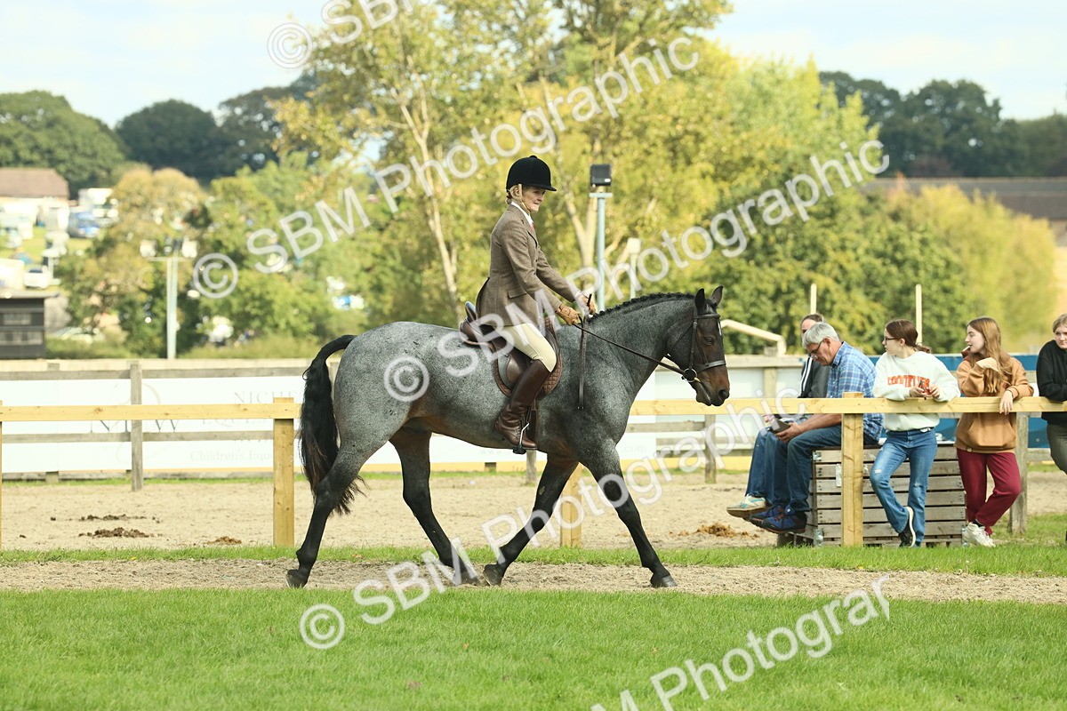 SBM_62603 - S63 - Other Coloured Horse Ridden