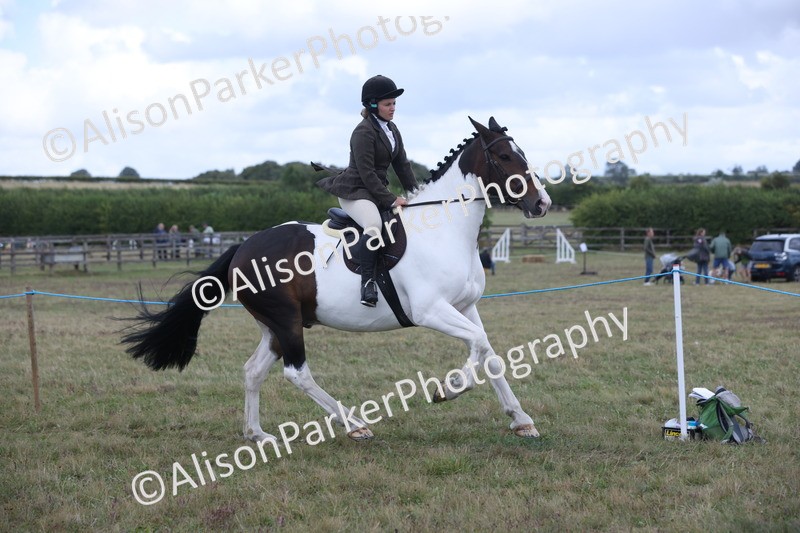 20250831-4243 - Class 20 - Ridden Coloured