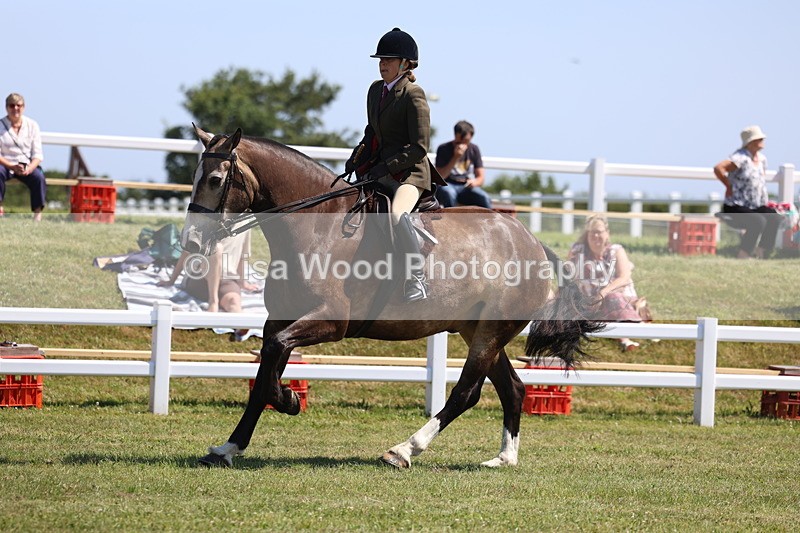 3E7A7581 - Rising Star Ridden Championship