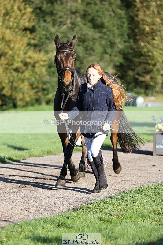 241027-085458-14893 - 358-Jessica.Meyer-LACKAGHMORE.VANDANGO