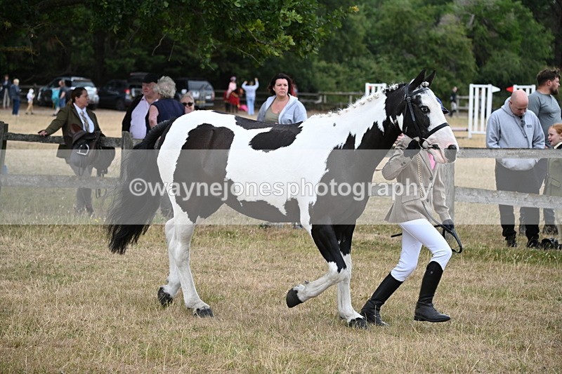 WJ6_8127 - Class 10 Coloured in Hand