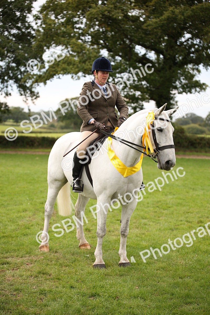 SBM_72420 - S67 - Show Cob Ridden