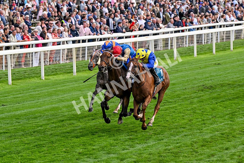 210826-Race 5-Plage De Havre-0303 - Race 5 16.10pm Assured Data Protection Handicap
