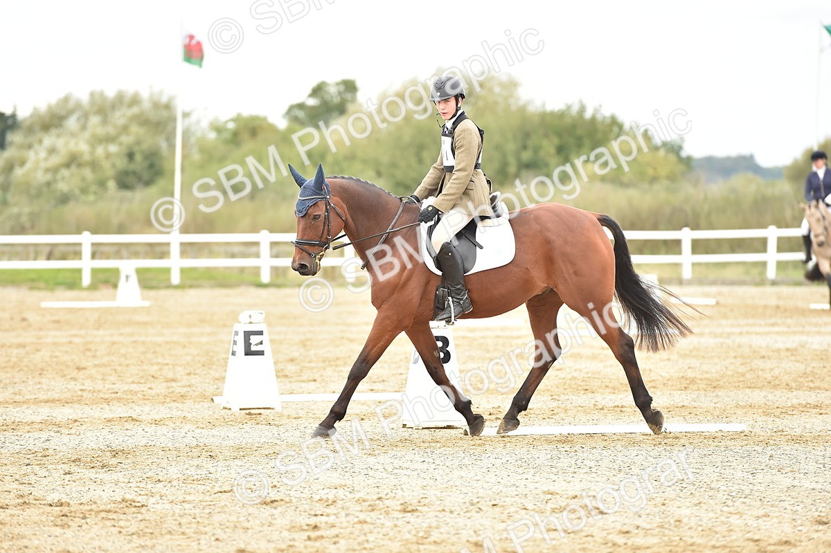 SBM_002489 - Novice 1