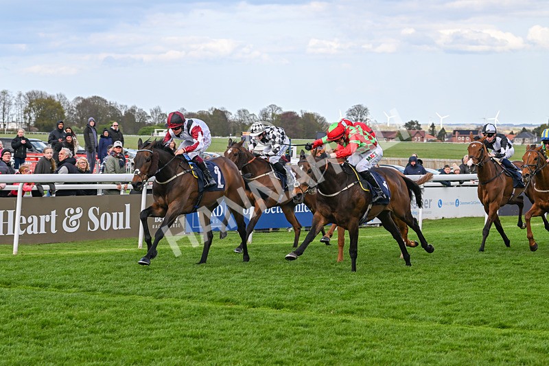 160425-Race 6-Nibras Gold-3805 - Race 6