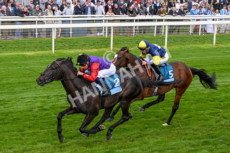 150526-Race 7-Portcullis-0417 - Race 7 5.15pm Darley EBF 'Confined' Novice Stakes