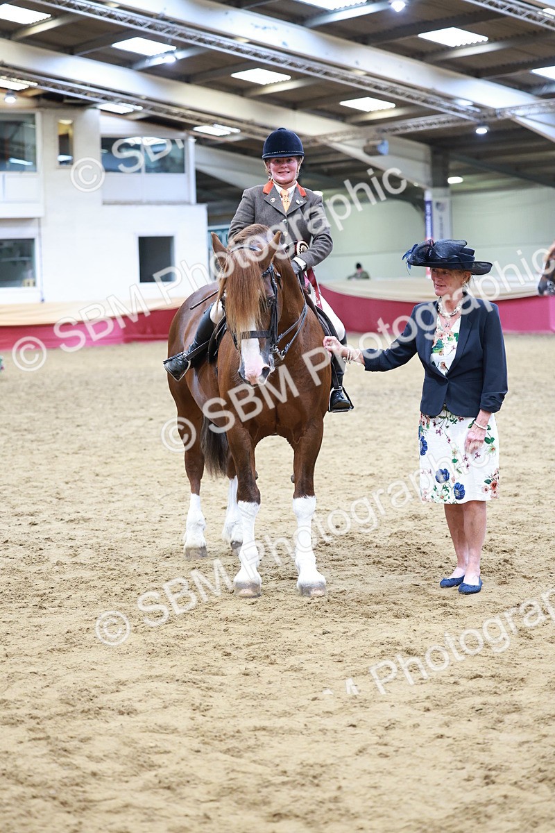 SBM_18899 - Class 952 - M&M Ridden Supreme Final