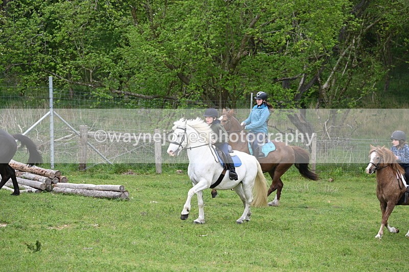WJ6_3012 - A Camera