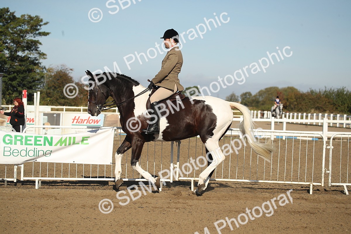 SBM_11325 - Class 501 -Riding Club Pony