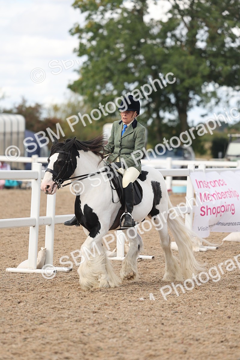 SBM_14664 - Class 307 - Ridden Coloured Pony