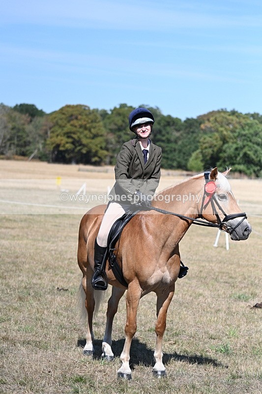 WJ7_1327 - Class 41 Prettiest Mare