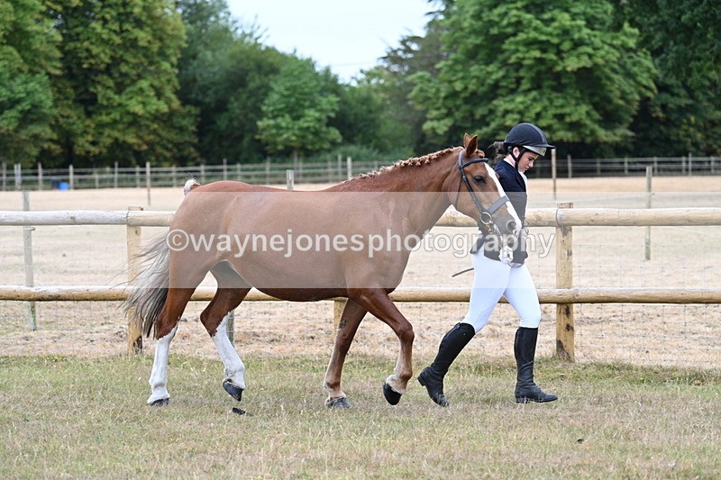 WJ7_8768 - Class 4a Prettiest Mare 14.2hh and over