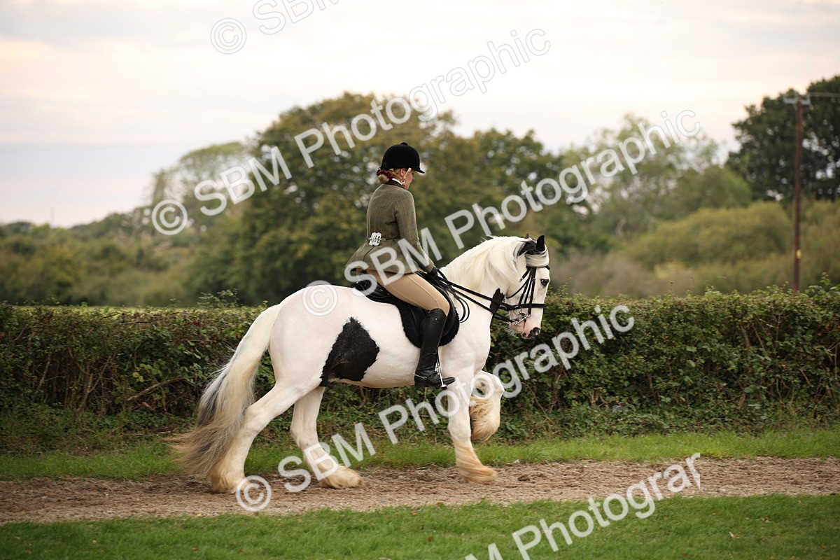 SBM_73452 - S68 - Traditional Cob Ridden